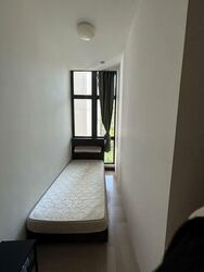 East Meadows (D16), Condominium #575742271